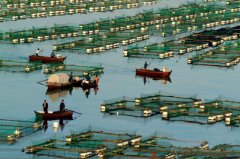 �O�I(y��)�B(y��ng)ֳ�¸��Ľ�耳ס����V��С���~��ω��K�C(j��)