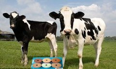 ��������ڷ��c��(d��ng)���ι�е����ü��g(sh��)��㑝��}�u���K�C(j��)