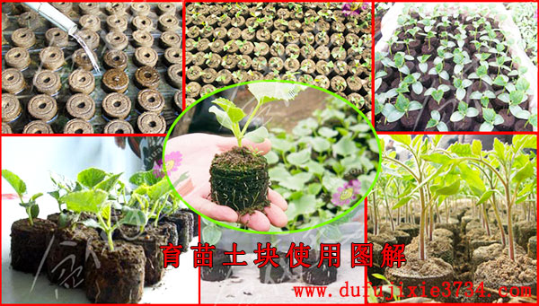 ����Kʹ�ÈD��